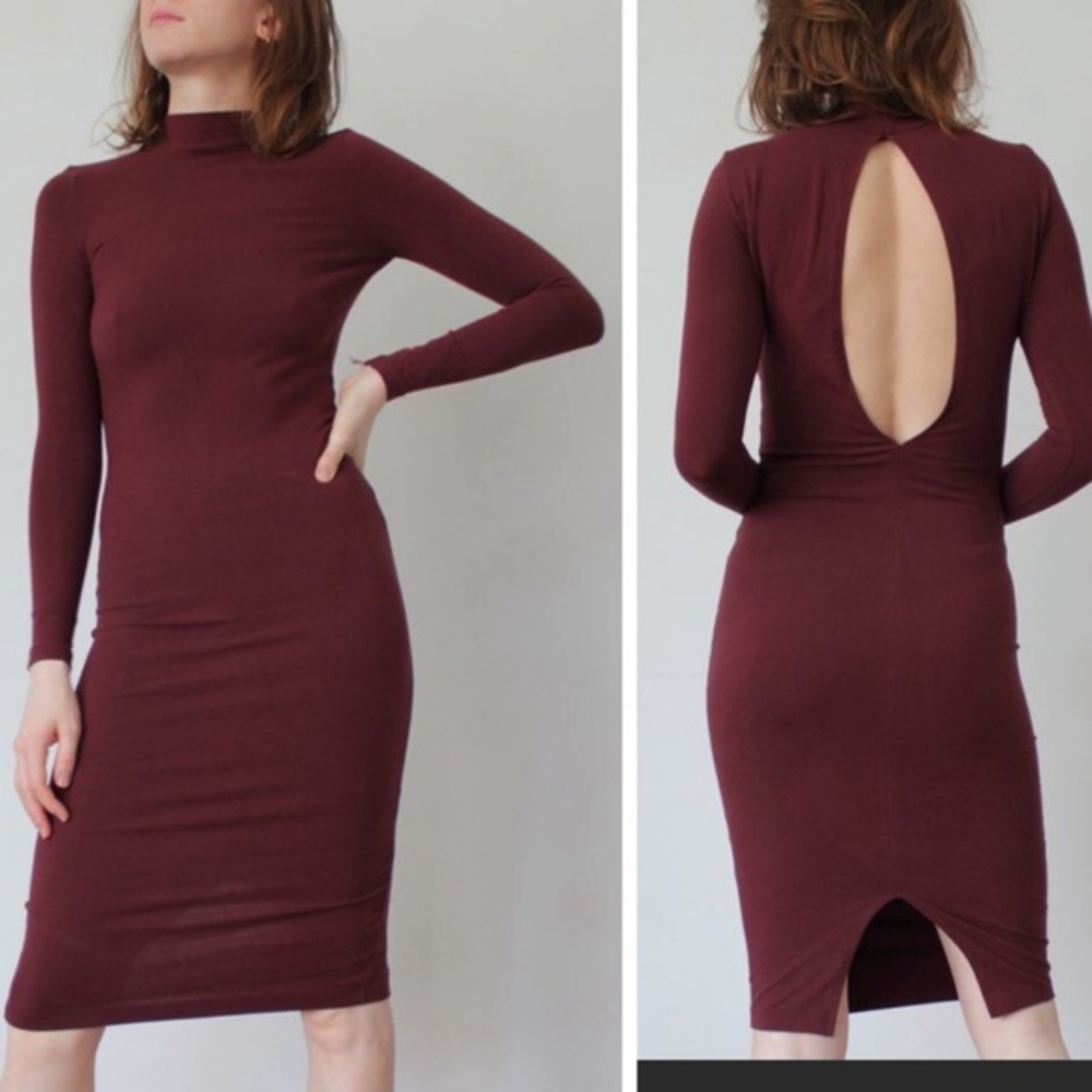 NWT! American Apparel Ryder Dress in Truffle - S